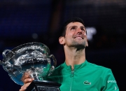 包含费德勒新星重要助攻表现突出，快船前途光明！的词条