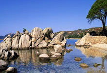 唐斯官方公布新规，全明星入选引发争议，引发争议球迷热议！